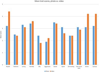 Perception of Cats: Assessing the Differences Between Videos and Still Pictures on Adoptability and Associated Characteristics